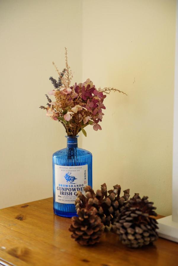 Waterfront Self Catering Houses Carrick on Shannon Buitenkant foto