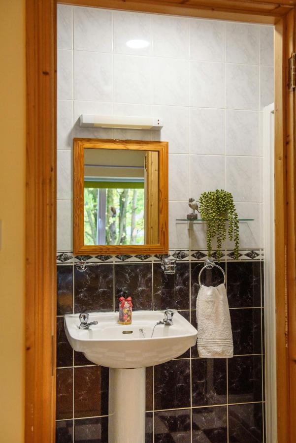 Waterfront Self Catering Houses Carrick on Shannon Buitenkant foto